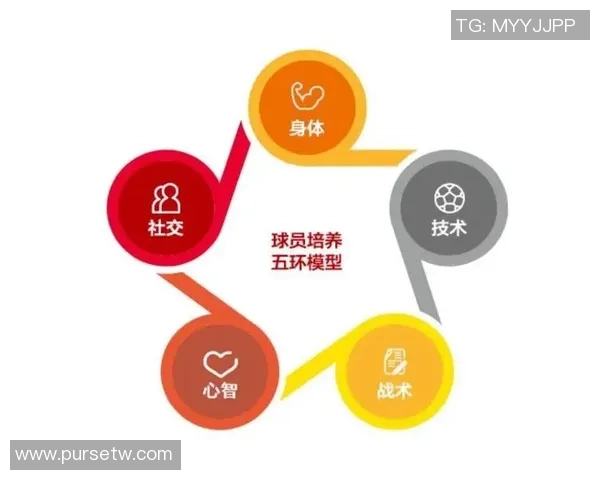 杭州足球队个人能力提升的关键因素与发展路径探讨 杭州足球队个人能力提升的关键因素与发展路径探讨