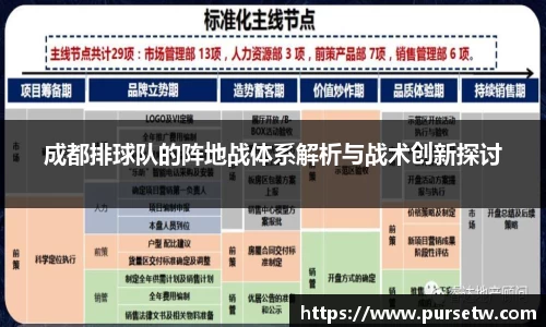 成都排球队的阵地战体系解析与战术创新探讨